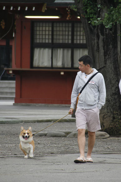 写真7