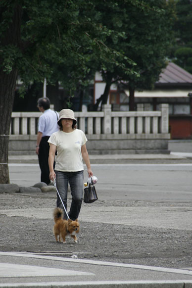 写真7