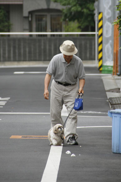 写真10