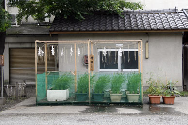 写真7