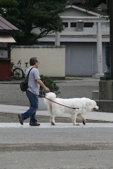 写真10