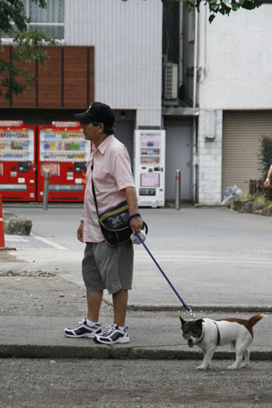 写真10