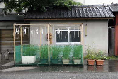 写真7