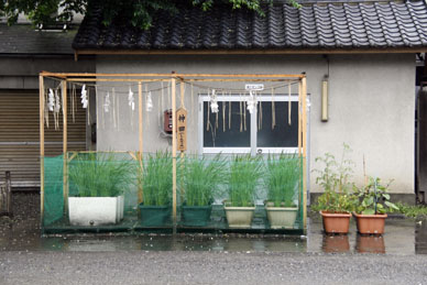 写真7