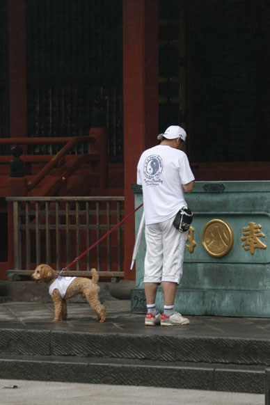 写真10
