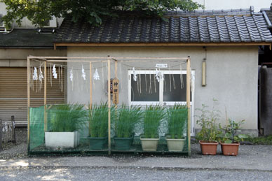 写真10