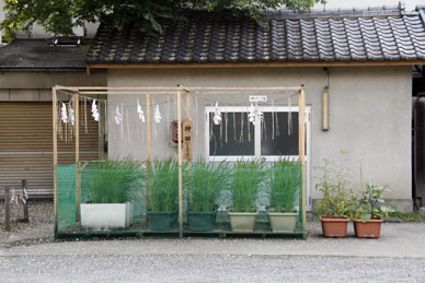 写真10