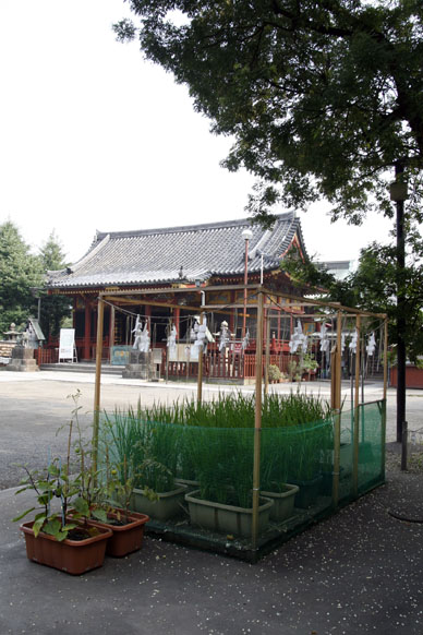 写真10
