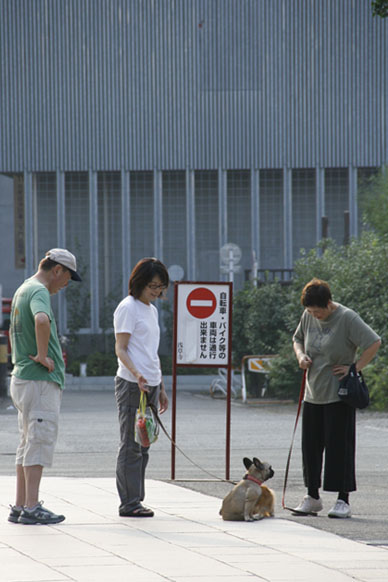 写真10