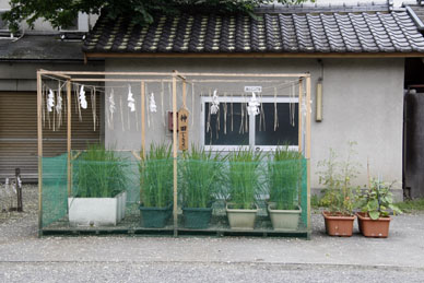 写真7