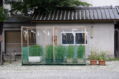 写真7