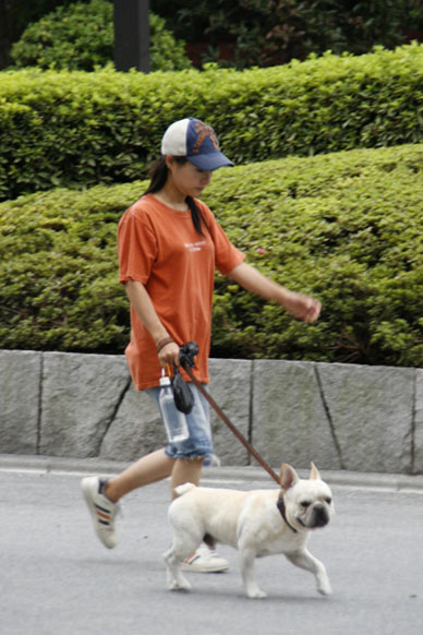 写真10