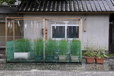 写真7