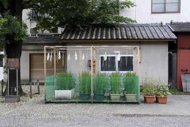 写真10