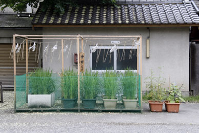 写真10