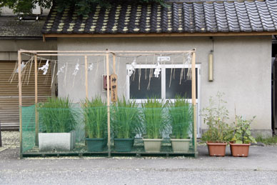 写真3