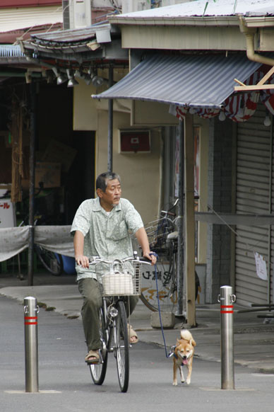 写真10