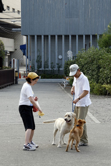 写真10
