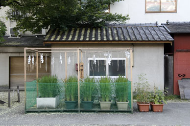 写真3