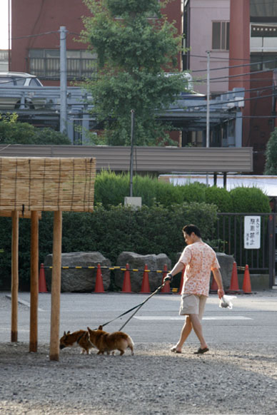 写真10