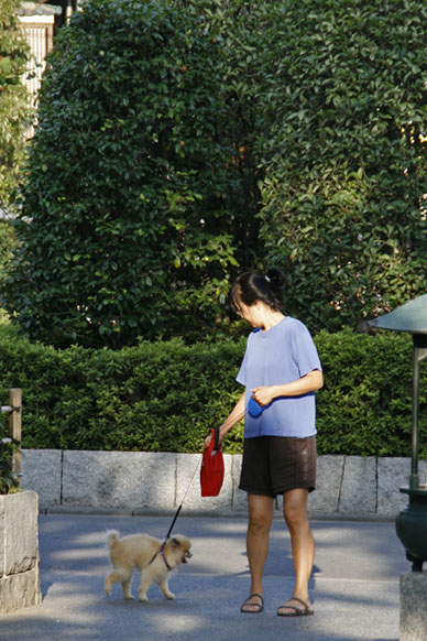 写真10