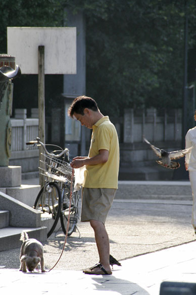 写真10