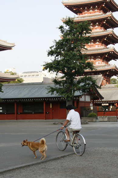 写真10
