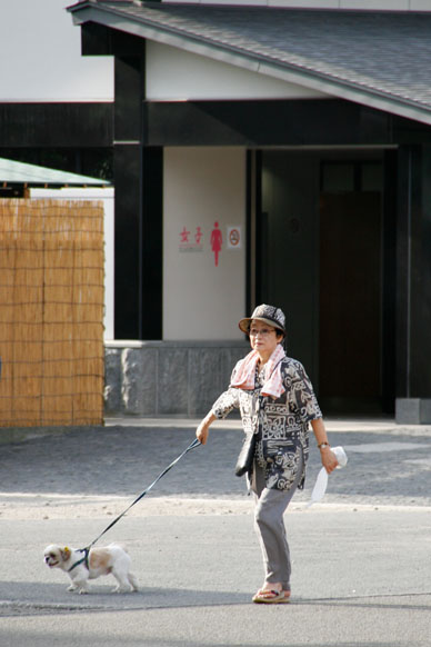 写真7