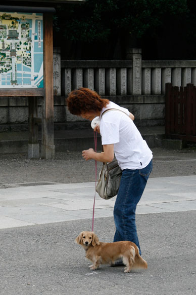 写真10