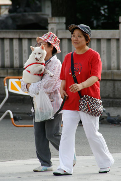 写真10