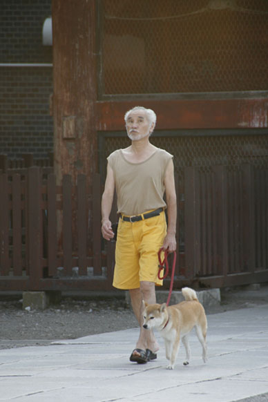 写真7