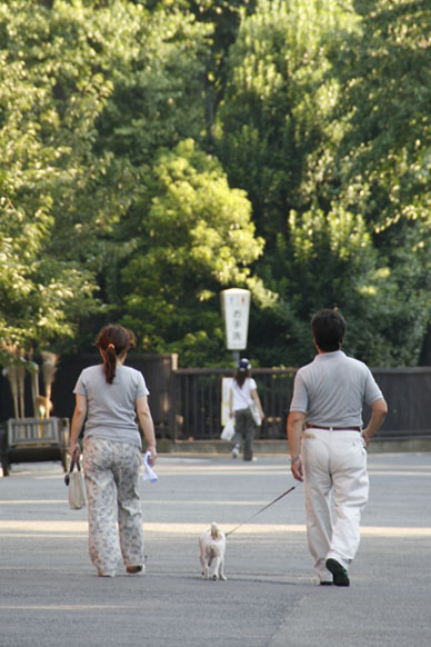 写真7