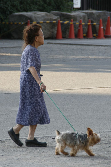 写真10