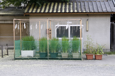 写真7