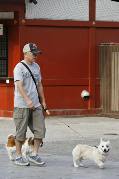 写真10