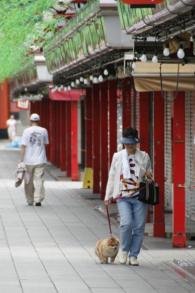 写真10