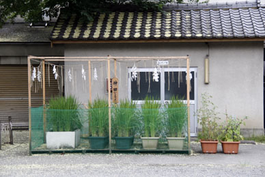 写真3