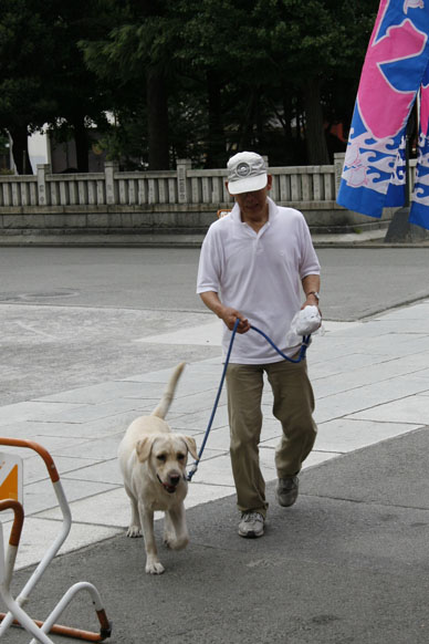 写真7