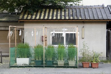 写真3