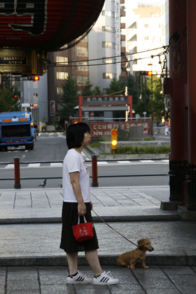 写真7