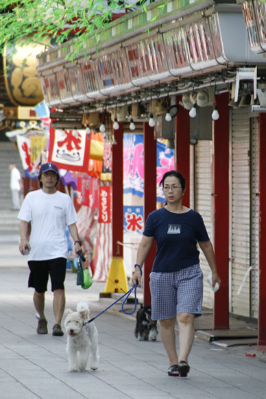 写真10