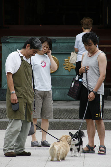 写真10