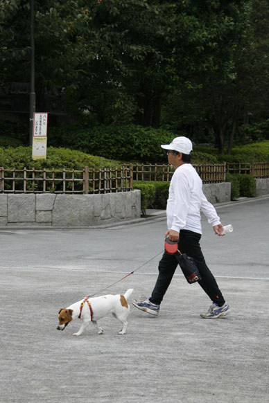 写真10