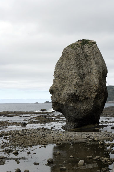 ʐ^10