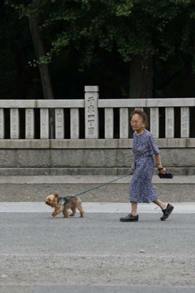 写真10