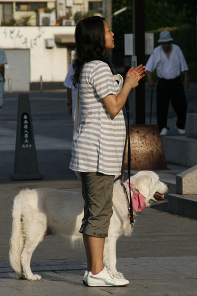 写真7