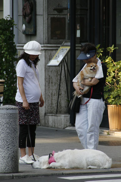 写真7