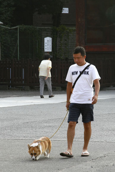写真10