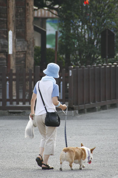 写真10