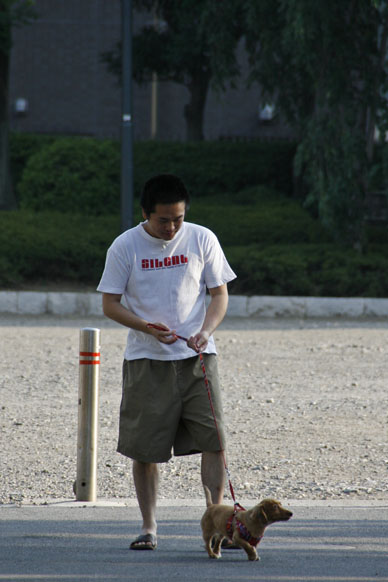 写真10